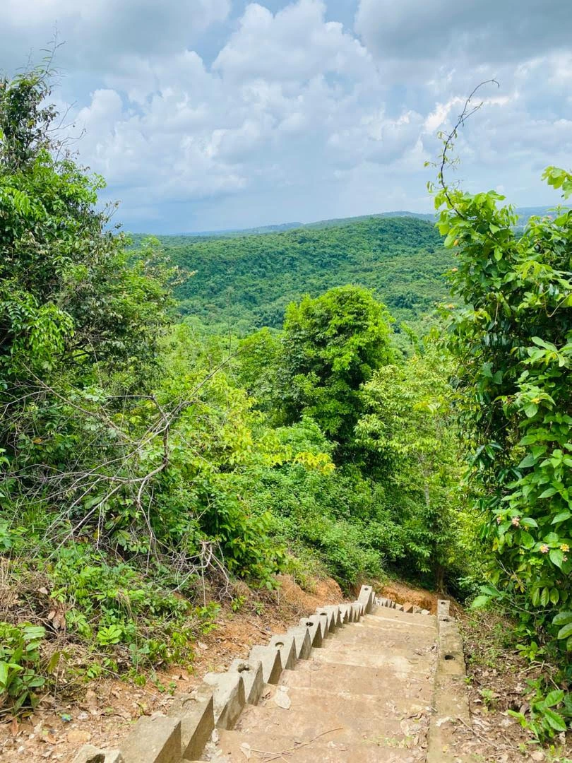 Kazimzumbwe Pugu Hills Nature Walk