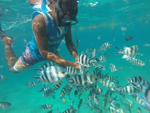 Mnemba Island Snorkeling Tour